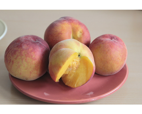 Čtyři broskve na talíři, jedna z nich nakrojená