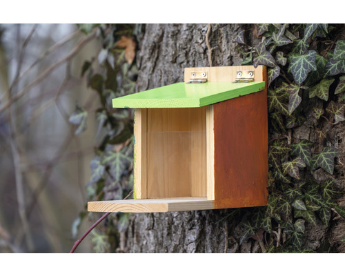 Dřevěná ptačí budka připevněná ke kmeni stromu