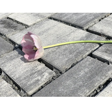 Šedé dlažební kostky s tulipánem
