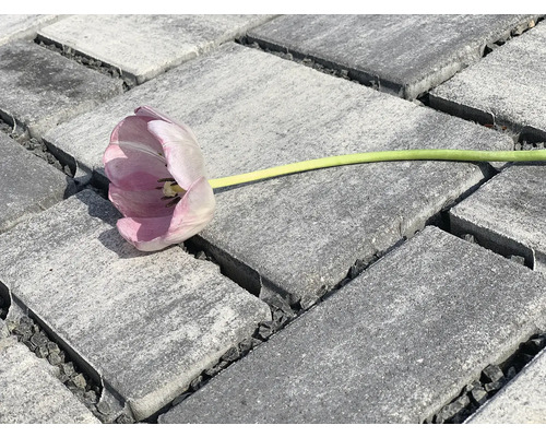Zámková dlažba EKO CityTop kombi 6 cm bíločerná Šedé dlažební kostky s tulipánem