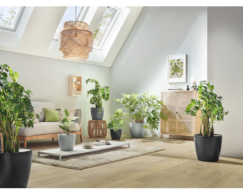 Obývací pokoj s pohovkou, stolem a různými pokojovými rostlinami v květináčích