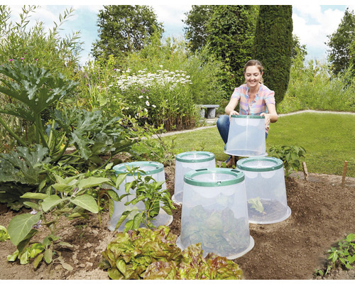 Zahrada se zeleninovým záhonem a pařeništními zvony