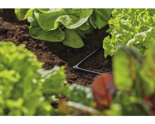 Zavlažovací systém v salátovém záhonu s kapací hadicí