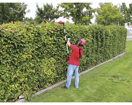 Osoba stříhá živý plot pomocí akumulátorových nůžek na živý plot s teleskopickou rukojetí.