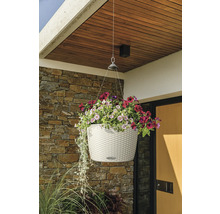 Závěsný květináč s barevnými květy před stěnou domu