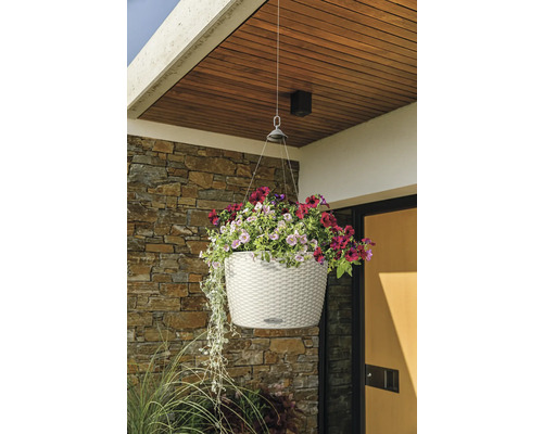 Závěsný květináč s barevnými květy před stěnou domu