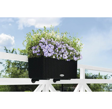 Plastikový truhlík na květiny s květinami na zábradlí