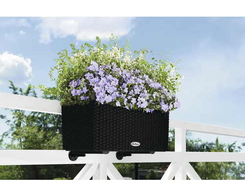 Plastikový truhlík na květiny s květinami na zábradlí