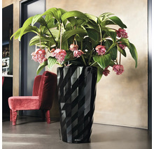 Černý květináč Lechuza s rostlinou a červeným křeslem