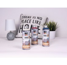 Sprej HOME 400ml H438 domácí černá