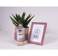 Pinty Plus Home sprejová barva, hrnková rostlina a fotorámeček