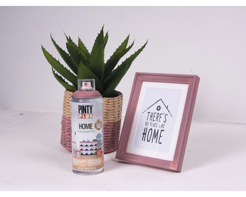 Pinty Plus Home sprejová barva, hrnková rostlina a fotorámeček