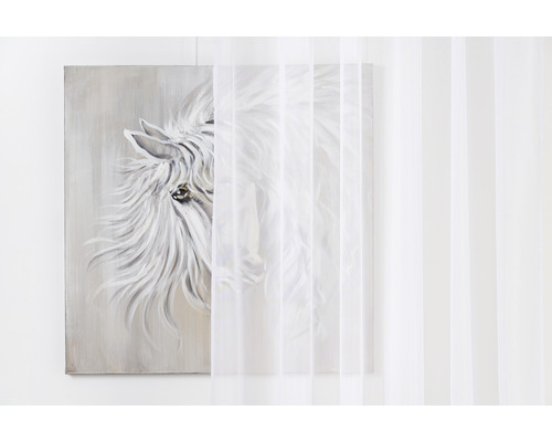 Obraz s motivem koně a průhledný závěs