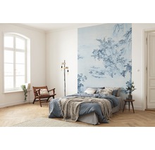 Fototapeta vliesová R2-005 Blue China 200x280 cm