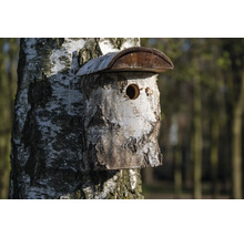 Ptačí budka březové dřevo dobar 14 x 22 x 24 cm