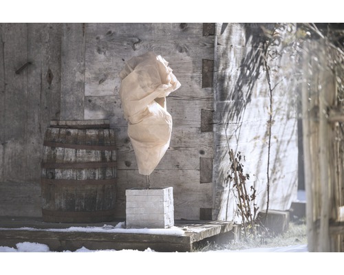 Zabalená rostlina v zimní zahradě s dřevěným pozadím