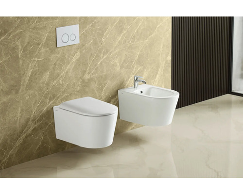 Koupelnová scéna s nástěnným záchodem a bidetem.