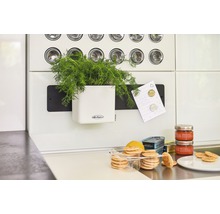 Kuchyně s bylinkovým květináčem, poznámkovým blokem, potravinami a logem Lechuza