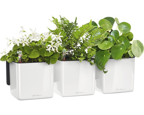 Tři bílé květináče s různými rostlinami a indikátory zavlažování