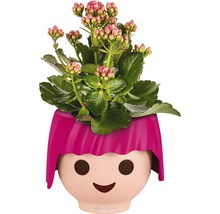 Kalanchoe rostlina v květináči Lechuza s obličejem