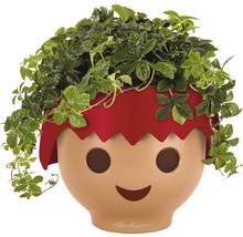 Květináč Lechuza se zelenou rostlinou ve tvaru obličeje