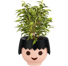 Pokojová rostlina v květináči s obličejem