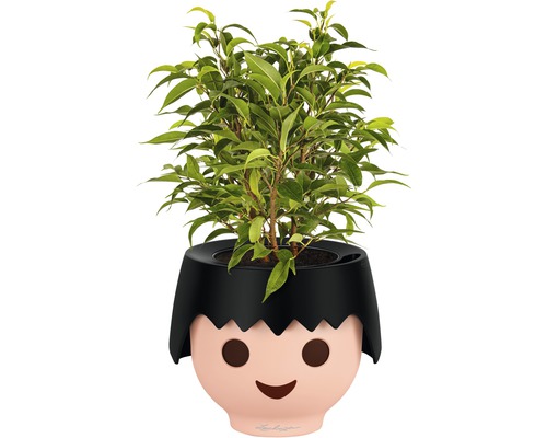 Pokojová rostlina v květináči s obličejem