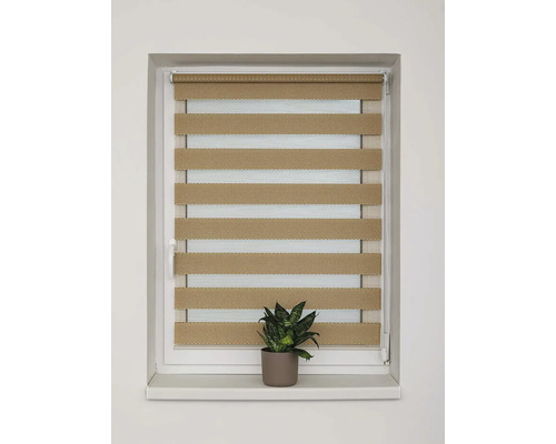 Dvojitá roleta v okně s pokojovou rostlinou na okenním parapetu