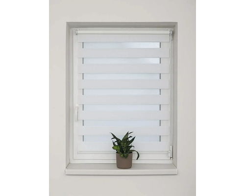 Okno s dvojitou roletou a pokojovou rostlinou