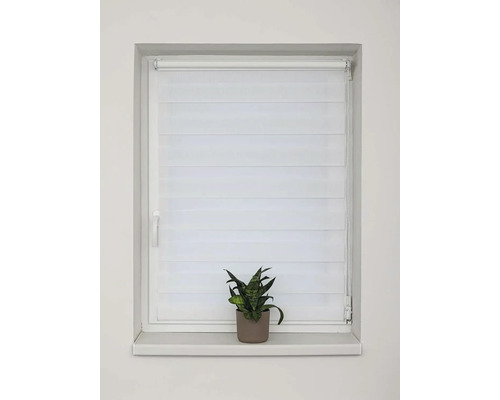 Okno s namontovanou dvojitou roletou a hrnkovou rostlinou na parapetu