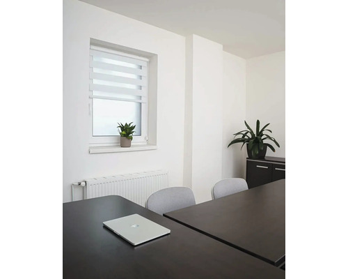 Kancelářská místnost se stolem, židlemi, oknem s roletou a pokojovými rostlinami