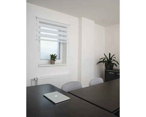 Kancelářská místnost s oknem, roletou, stolem a kancelářskými rostlinami