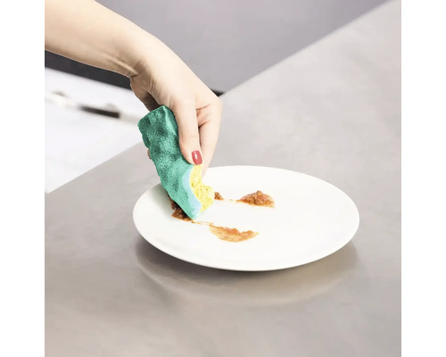 Ruka čistí talíř mycí houbou.