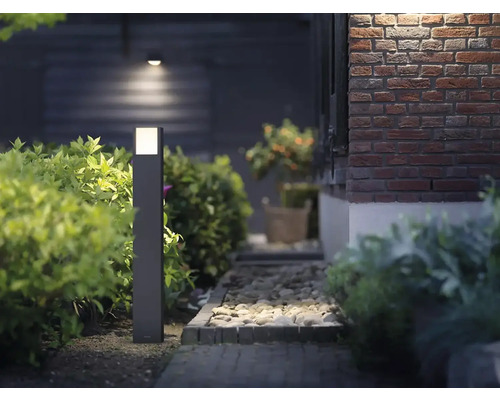 Zahradní chodník s venkovním osvětlením, obklopený rostlinami a kameny