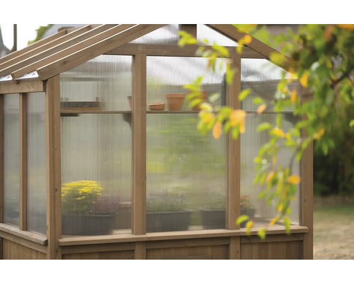 Skleník s rostlinami a květináči na policích