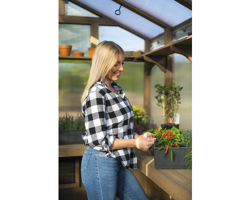 Žena sklízí chilli papričky ve skleníku s dřevěným rámem a policemi