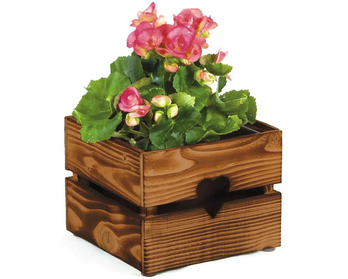 Begónie v dřevěné bedně se srdíčkovým designem