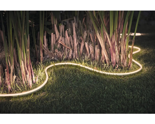 Dekorativní LED světelný řetěz v zahradě mezi rostlinami