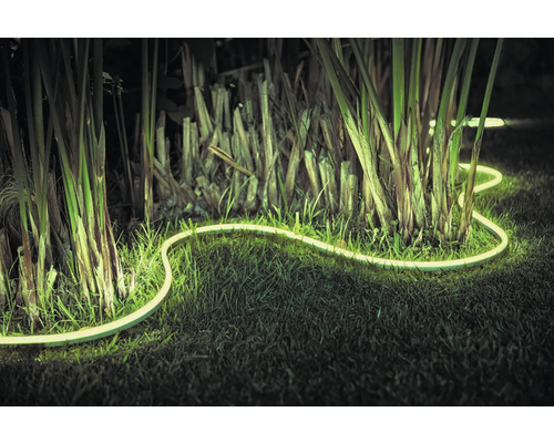 Osvětlený LED světelný had na zahradě mezi rostlinami