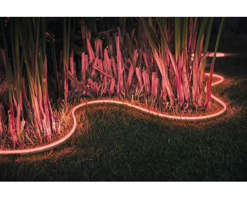 Dekorativní světelný had v zahradě mezi rostlinami