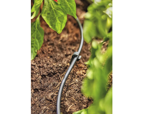 Zavlažovací hadice se zemním hrotem v zahradním záhonu pro zavlažování rostlin