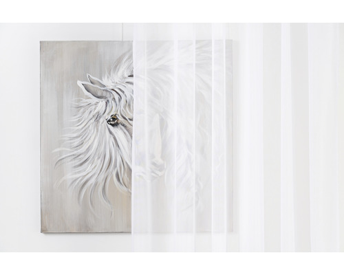 Obraz s koněm za průhledným závěsem