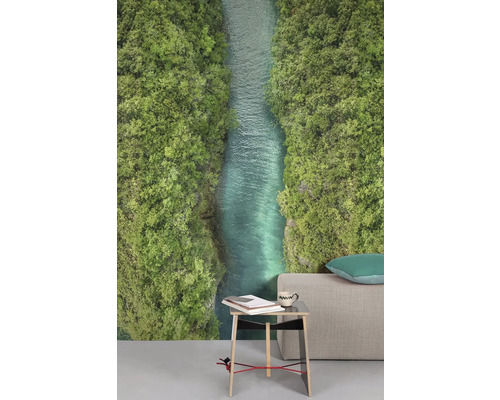 Foto tapeta s řekou mezi stromy v obývacím pokoji