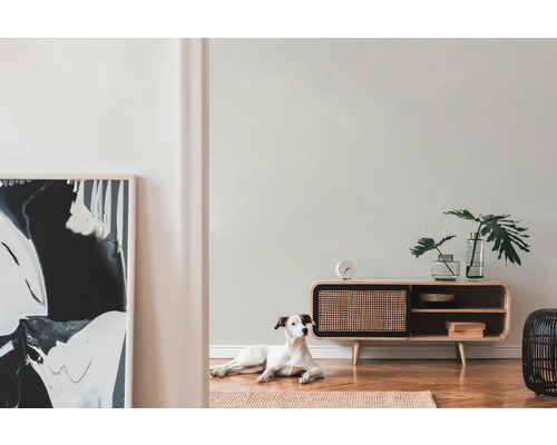 Obývací pokoj s komodou, dekorací a psem