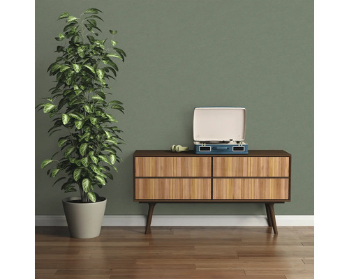 Obývací pokoj s pokojovou rostlinou, gramofonem a komodou