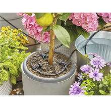 Solární zavlažování GARDENA AquaBloom sada-thumb-8