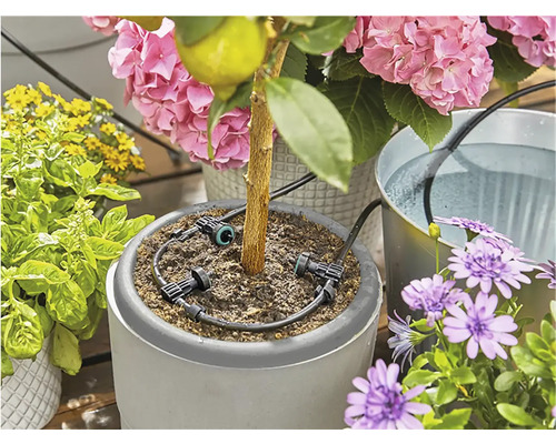 Zavlažovací systém pro květiny s rostlinami v květináčích a zásobníkem na vodu