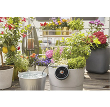 Solární zavlažování GARDENA AquaBloom sada-thumb-9