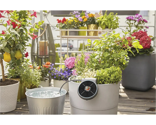 Fotografie scény balkonu s různými rostlinami a zavlažovacím systémem