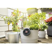 Solární zavlažování GARDENA AquaBloom sada-thumb-3